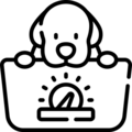 Diet (Light)