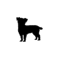 Small Breeds