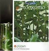 Ρίγανη