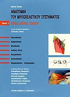 Ανατομία του μυοσκελετικού συστήματος
