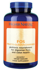 Higher Nature Ginger 300mg 60 tabs