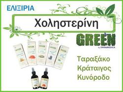 Paramedica Green Ελιξήριο για Χοληστερίνη 30ml
