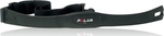 Polar T31