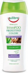 Equilibra Colour Protection Shampoo 250ml