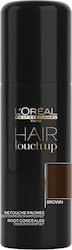 L'Oréal Professionnel Hair Touch Up Brown