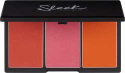 Sleek Blush Palette Color Pumpkin