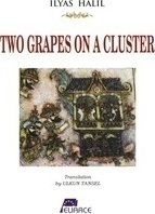 Two Grapes on a Cluster