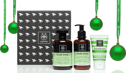 Apivita Set Body Tonic Αφρόλουτρο, Κρέμα Σώματος & Κρέμα Χεριών