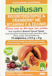 Heilusan Κολοκυθόσπορος & Cranberry 500mg 15κάψουλες
