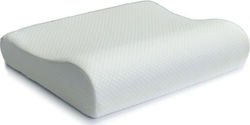 Alfa Care Economy Memory Foam Ανατομικό 40x50x10cm