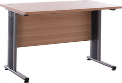 Επαγγελματικό Γραφείο Valden 120x72x75εκ. Γκρι / Φυσικό