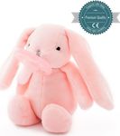 Minikoioi Λούτρινο με Πιπίλα - Pink Sleep Buddy 0 + μηνών