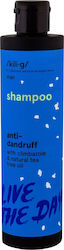 kili⋅g Anti Dandruff Man Shampoo 250ml