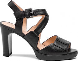 Geox D Annya H.Sand B D92CLB 0009D C9999