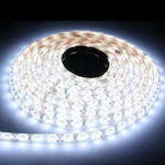Αδιάβροχη Ταινία LED SMD5050 12V Ψυχρό Λευκό 5m Horoz Electric
