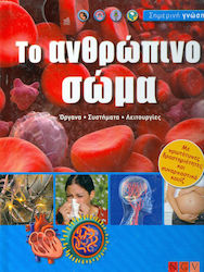 ΤΟ ΑΝΘΡΩΠΙΝΟ ΣΩΜΑ