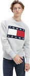 Tommy Hilfiger Jeans Flag DM0DM07201-P01 Grey