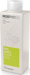 Framesi Morphosis Balance Shampoo 250ml