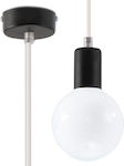 Sollux Edison SL.0150