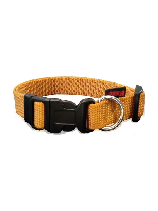 Pet Interest Plain Line Dog Collar In Gold Colour Medium 20mm x 32-50cm Medium 20mm x 32 - 50cm