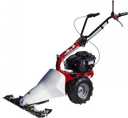 Eurosystems Loncin M 210 Pe roți Pe benzină Tăietor de iarbă