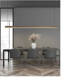 Zambelis Lights LED Κρεμαστό Φωτιστικό Μπρούτζινο