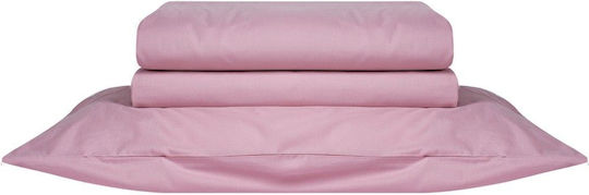 Kentia Queen 220x240 Essential 14