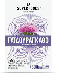 Superfoods Γαϊδουράγκαθο 300mg 50 κάψουλες