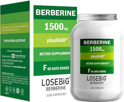 Amhes Losebig Berberine 1500mg 120 κάψουλες