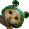 FroggyKhajiit