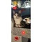 Meow_83