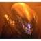 ALIEN33
