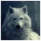 Fotis_Bouloumpasis