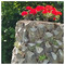 1964dlazaridis