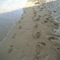 Dimitris_Miglis