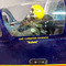 CHristos_Ioannou69