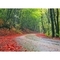 Stam_Stra