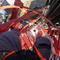 vag_attack