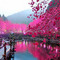 STAMATIA_KYRIKOU