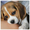 Andrew_Andreopoulos