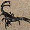 Dimitris_Stefanidis99