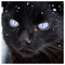 Christos_Patronis
