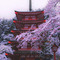 Ir__Anth