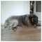 maria_kampouri80