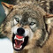 Panos_Wolf