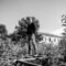 Makouras_85