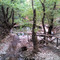 aggeliki_kalakonas