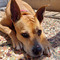 Antonis_Zahos