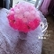 Flora_Gjergji1