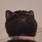 Rea S